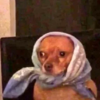 Sticker Pirozhocheck - 3