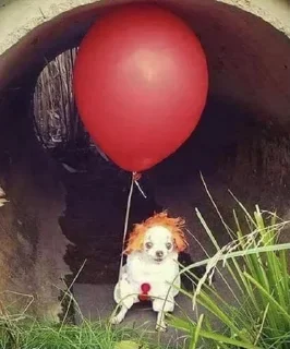 Sticker Pirozhocheck - 5