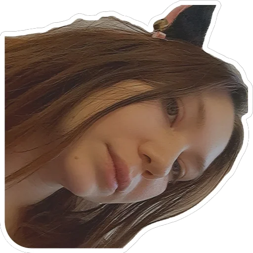 Sticker Pirozhocheck_vera - 1