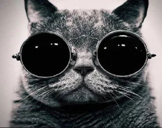 Стикер Стикеры для Мужчин - 2