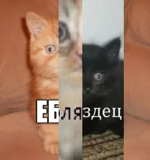 Стикер Пиздосрак - 6