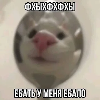 Стикер Пиздосрак - 4