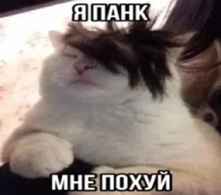 Стикер Пиздосрак - 1