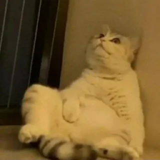 Sticker Pishi 3 - @Stickerabad - 8