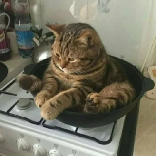 Sticker Pishi 3 - @Stickerabad - 9