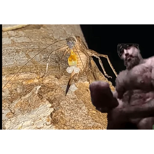 Sticker Piskatarakanag - 1