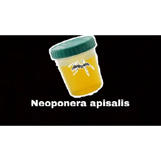 Стикер Жёсткие насекомые - 11