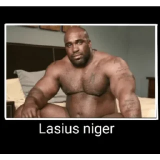 Стикер Жёсткие насекомые - 4