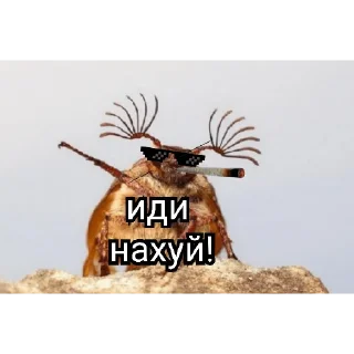 Стикер Жёсткие насекомые - 8