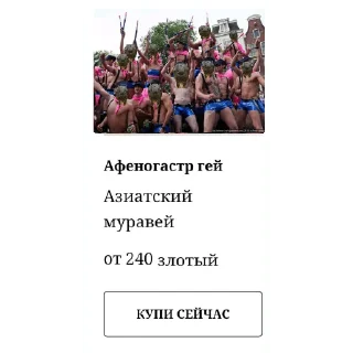 Стикер Жёсткие насекомые - 1