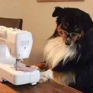 Стикер Pissed dog @woodvale - 7