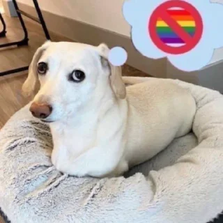 Стикер Pissed dog @woodvale - 2