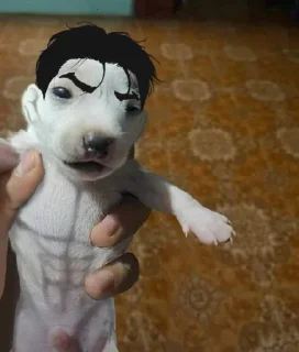 Стикер Чопляь @SozdaiStickeriBot - 5