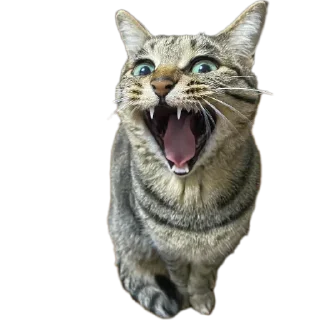 Стикер Mr penis - 7