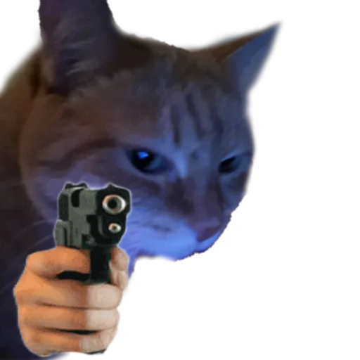 Sticker PistoleCat_Stfn - 1