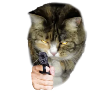 Стикер Котики с пистолетами - 1