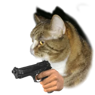 Стикер Котики с пистолетами - 4