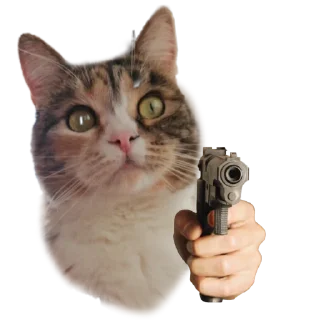 Стикер Котики с пистолетами - 8