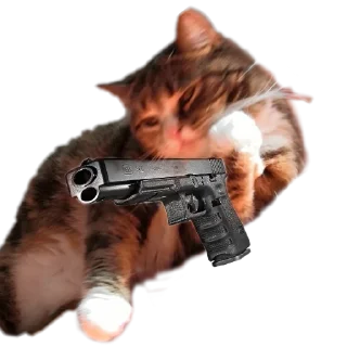 Стикер Котики с пистолетами - 0