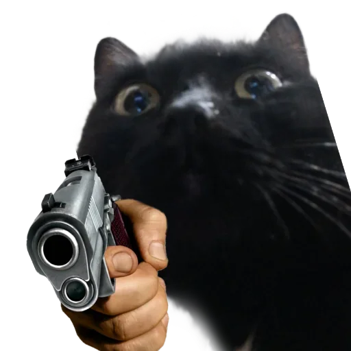 Лапки вверх! • @TgStickery - 