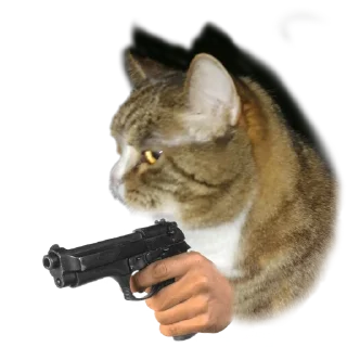 Sticker Лапки вверх! • @TgStickery - 0