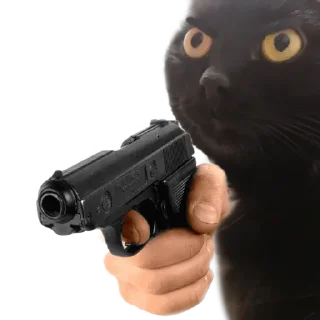 Sticker Лапки вверх! • @TgStickery - 1