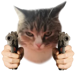 Sticker Лапки вверх! • @TgStickery - 6