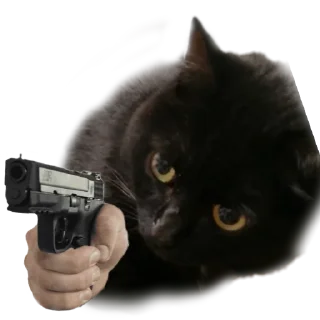 Sticker Лапки вверх! • @TgStickery - 2