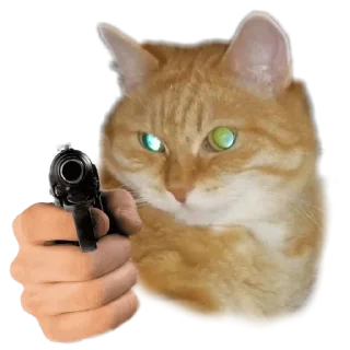 Sticker Лапки вверх! • @TgStickery - 7