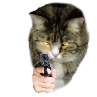 Sticker Лапки вверх! • @TgStickery - 4