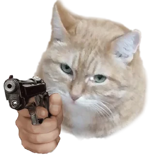 Sticker Лапки вверх! • @TgStickery - 3