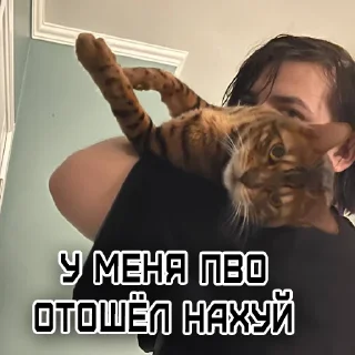 Стикер PisynSquad - 1