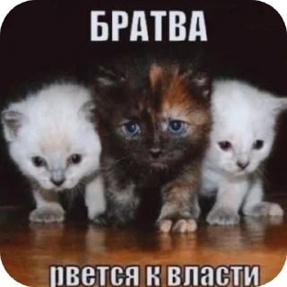 Sticker Тихон щовэл - 4