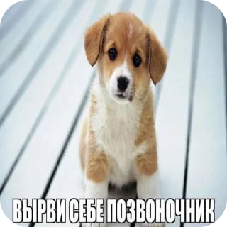 Sticker Тихон щовэл - 1