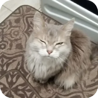 Sticker Тихон щовэл - 0