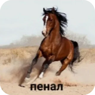 Sticker Тихон щовэл - 7