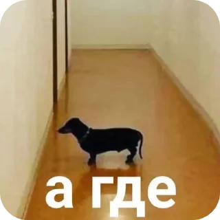 Sticker Тихон щовэл - 10