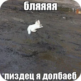 Sticker Тихон щовэл - 11