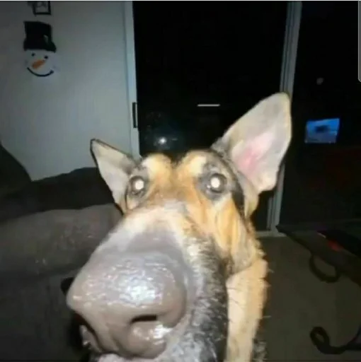 Sticker Pit of Hell - 4