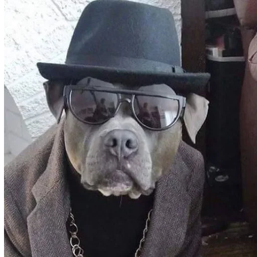 clothing hat wearing