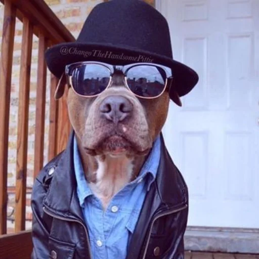 ношение Человек мужчина