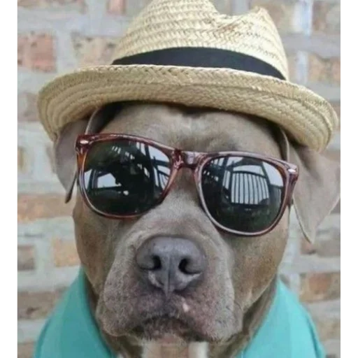 ношение защитные очки модный аксессуар