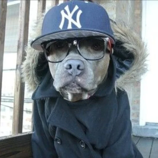 person clothing human face