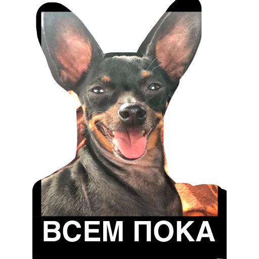 Sticker Piter_Family_Stickers - 1