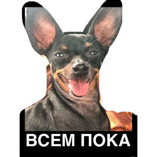 Стикер Питер Family - 11