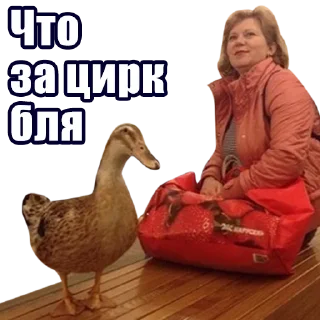 Стикер Piter_map - 11