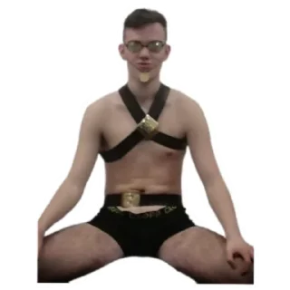 Sticker Питония - 5