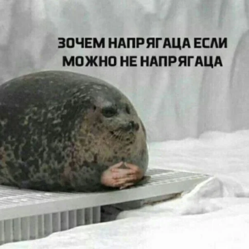 Sticker Пиво для позитива! - 1