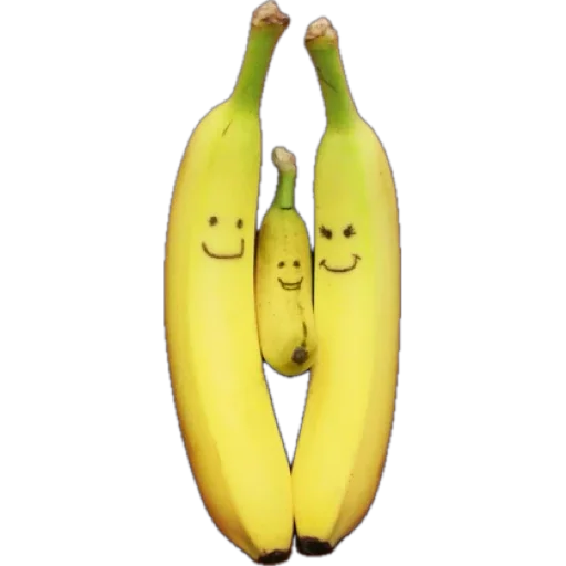 Sticker PivrKatal - 1