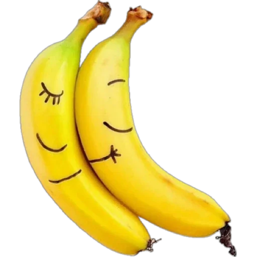 Sticker PivrKatal - 1